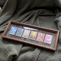 PokeFrame Floating Card Display — Black Walnut (6 Cards) 3